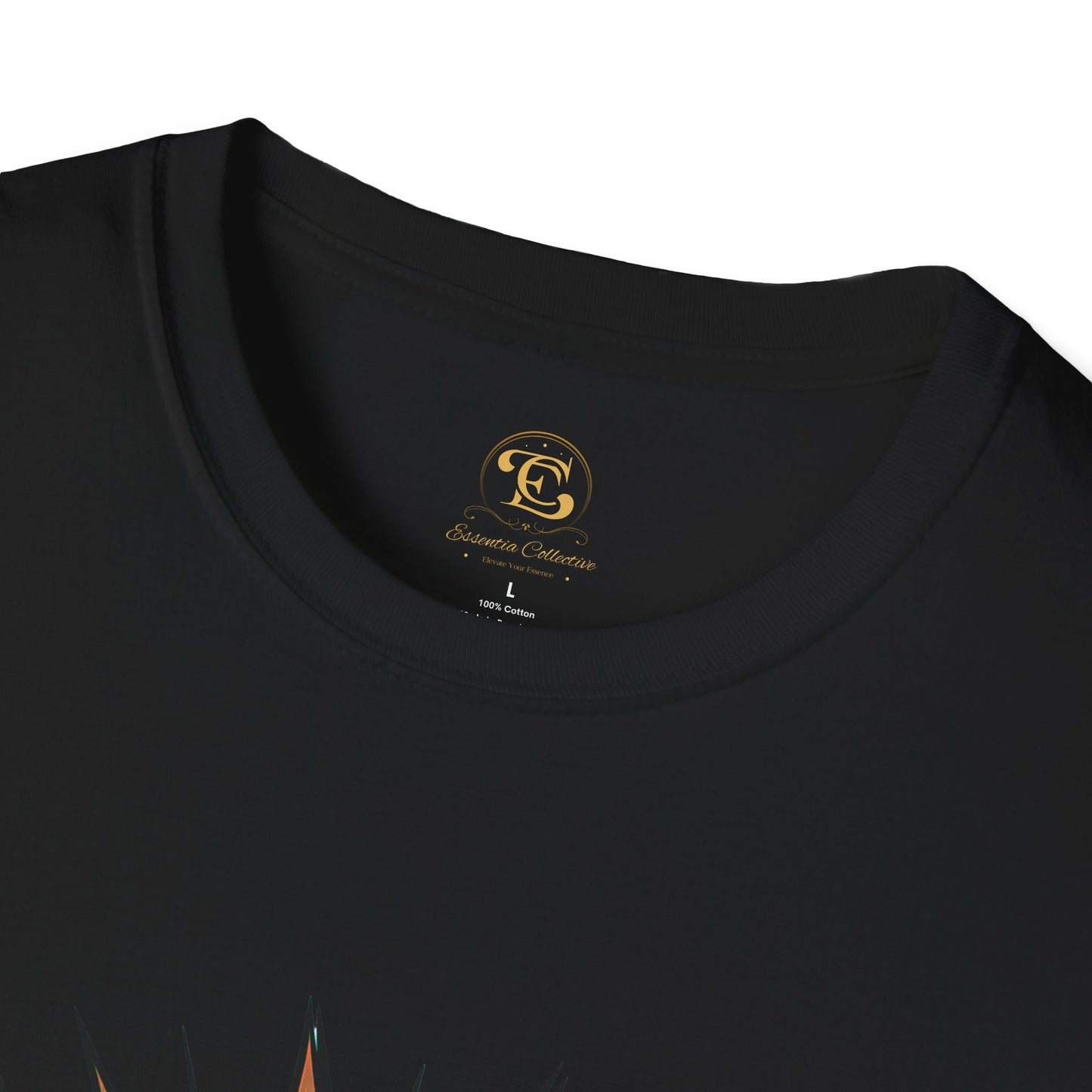 Chase Dreams Not Fears Motivional T-shirt