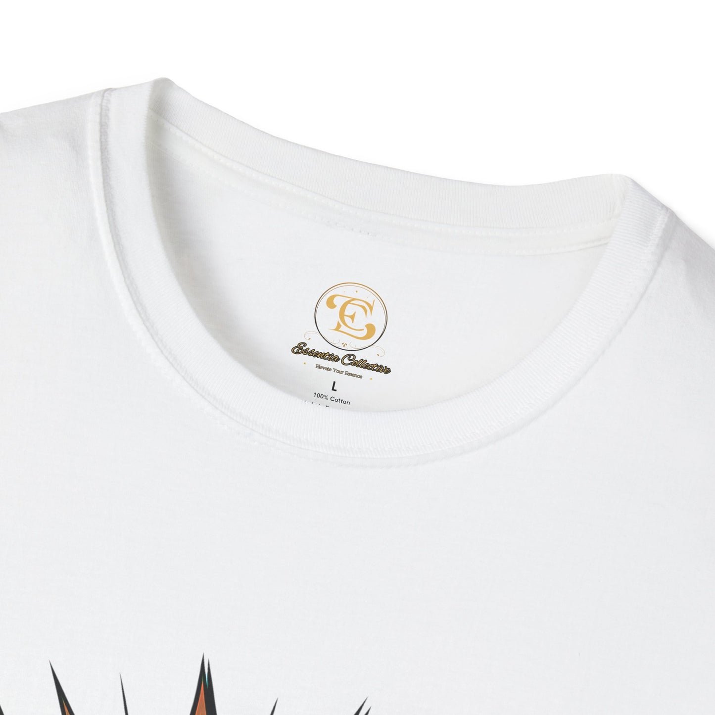 Chase Dreams Not Fears Motivional T-shirt