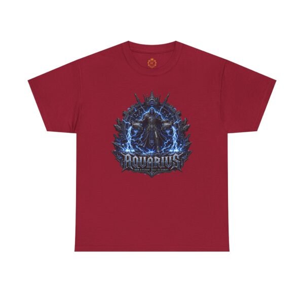 Aquarius Zodiac Graphic Streetwear T-Shirt