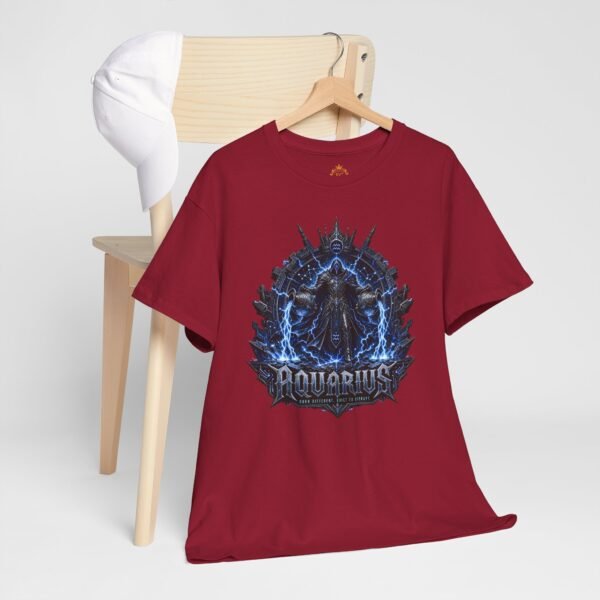 Aquarius Zodiac Graphic Streetwear T-Shirt