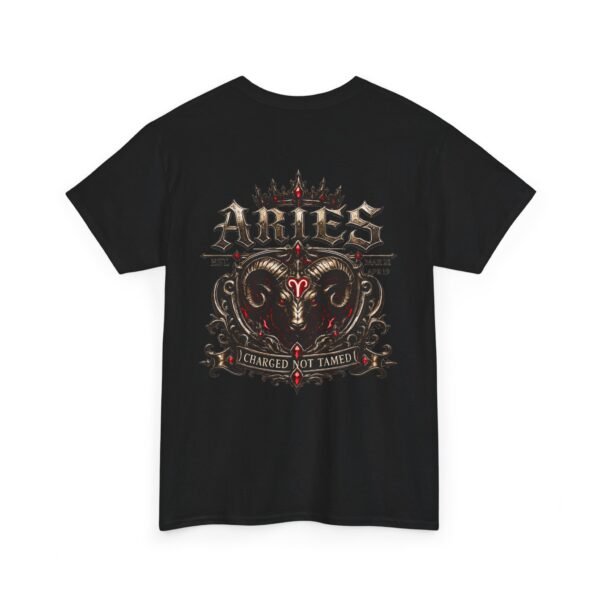 Aries Charged Not Tamed Streetwear T-Shirt