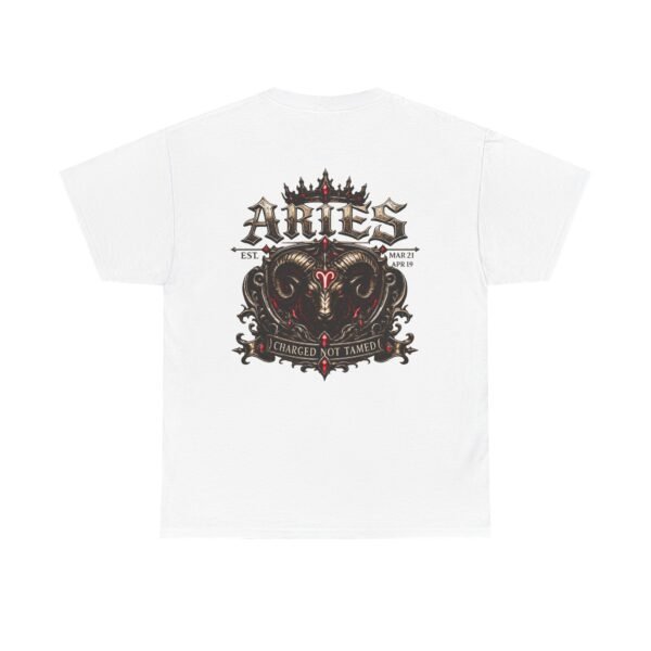 Aries Charged Not Tamed Streetwear T-Shirt