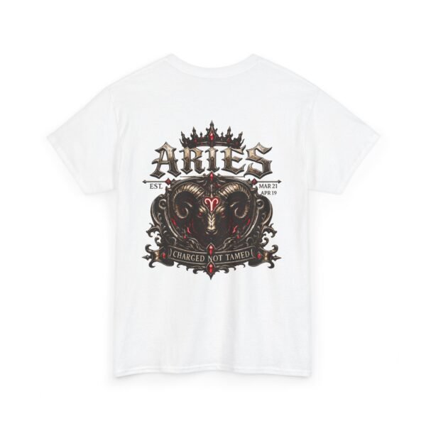 Aries Charged Not Tamed Streetwear T-Shirt